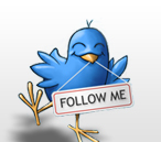 Ins and Outs of Posting on Twitter
